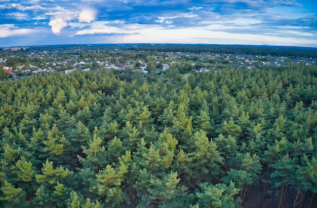 Un hermoso pueblo grande alrededor del cual hay un gran bosque de abetos verdes