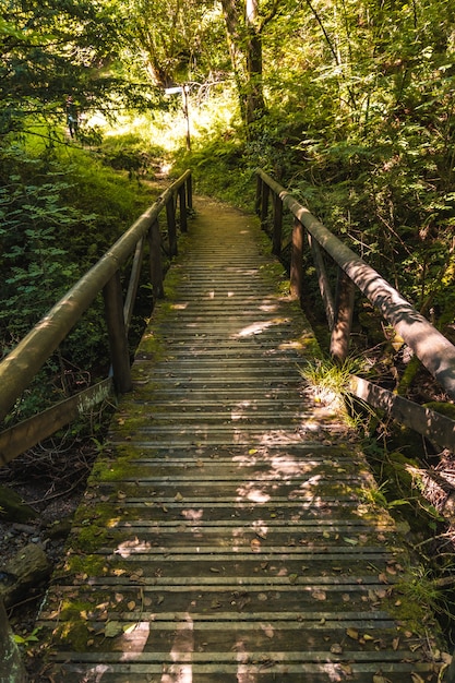 Hermoso puente de madera en el parque natural de Listorreta en la ciudad de Errenteria en el parque de las Peñas de Aya o el parque Aiako Harria. Gipuzkoa, País Vasco