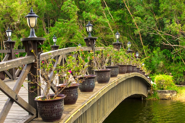 Hermoso puente de madera sobre el río.