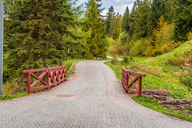 El hermoso puente de madera a través del bosque montaña río.