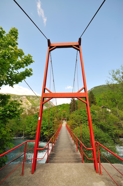 hermoso puente en la naturaleza sobre un río salvaje