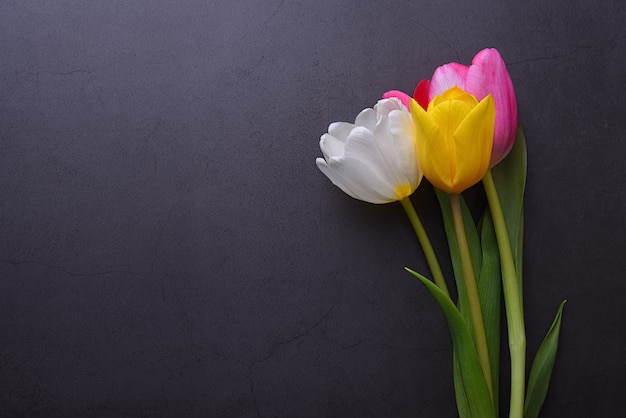 Un hermoso ramo brillante de tulipanes multicolores en primer plano contra una pared de estuco gris oscuro.
