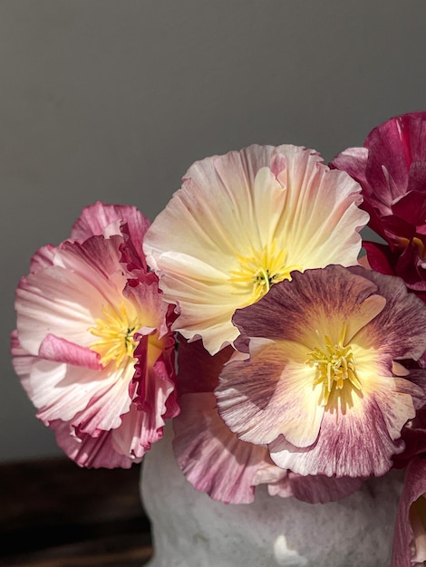 Hermoso ramo de eschscholzia sobre fondo rústico cambiante Flores con estilo naturaleza muerta composición artística Papel tapiz floral vertical