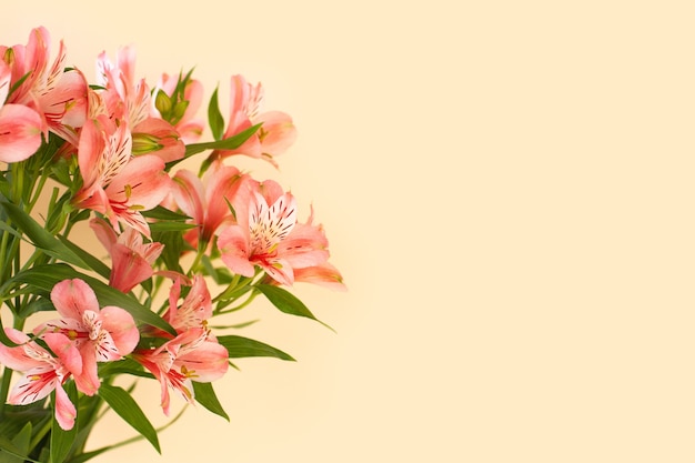 Hermoso ramo de flores de alstroemeria sobre fondo claro.