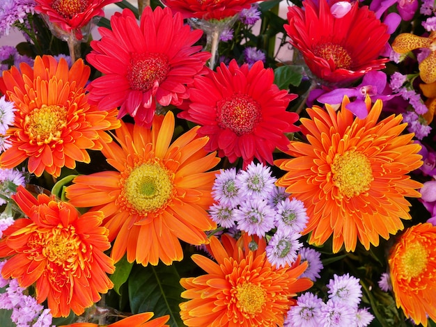 Hermoso ramo de flores de margarita gerbera brillante Fondo floral