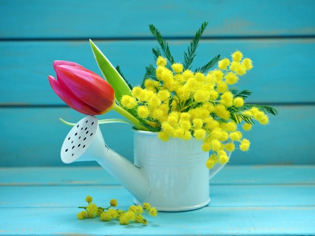 Hermoso ramo de flores de mimosa y tulipán sobre fondo azul. Primavera.