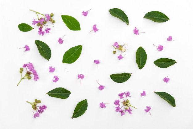 Hermoso ramo de flores púrpura está floreciendo puesto en madera blanca