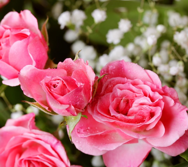 Hermoso ramo de flores rosas y blancas
