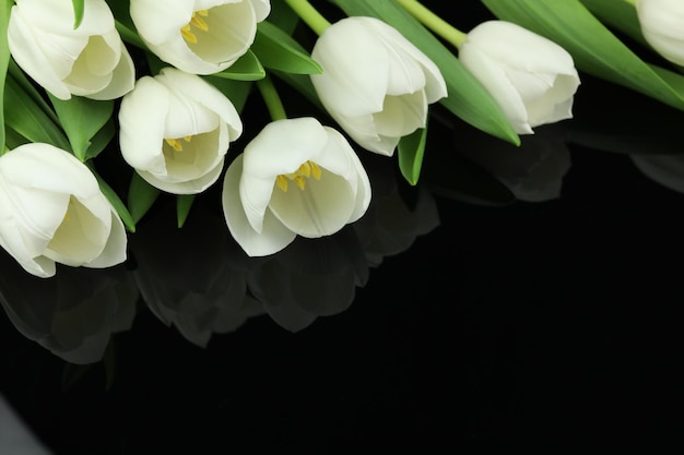 Hermoso ramo de flores de tulipán blanco con tarjeta en el espacio de fondo negro para texto