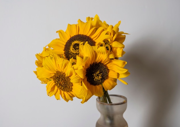 Hermoso ramo de girasoles en florero. Bodegón de otoño