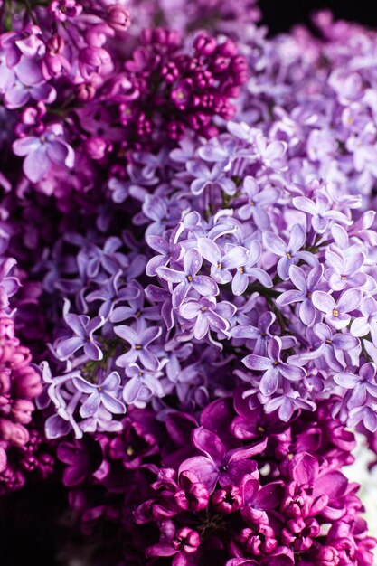 Hermoso ramo de lilas de diferentes variedades closeup