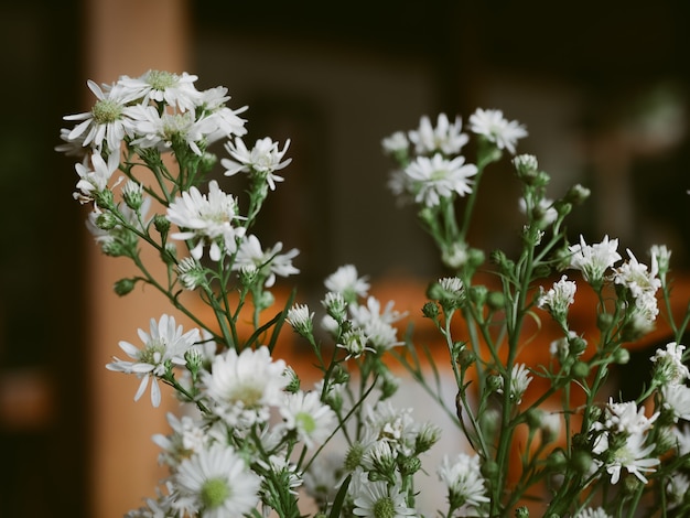 Hermoso ramo de pétalos de flores