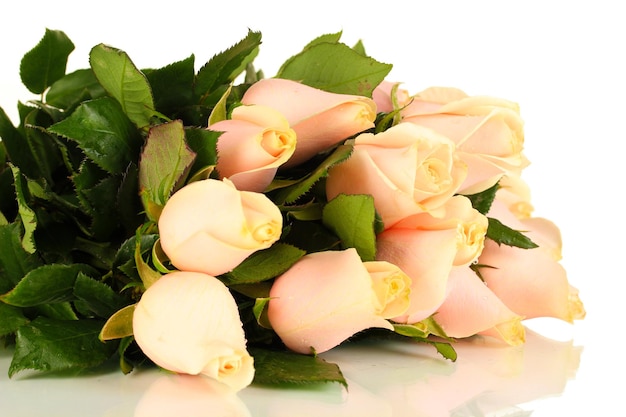 Hermoso ramo de rosas, aislado en blanco