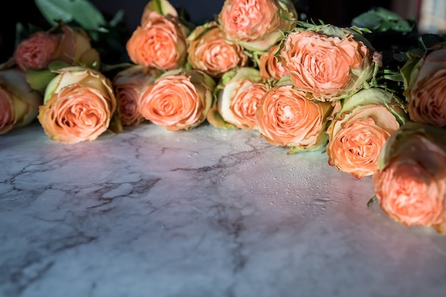 Hermoso ramo de rosas en forma de peonía de coral naranja con rosas sobre fondo de mármol tierna flor rosa floreciente.