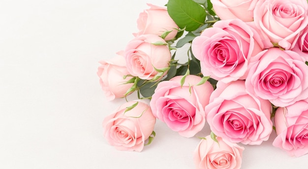 Hermoso ramo de rosas frescas sobre un fondo blanco espacio para texto IA generativa