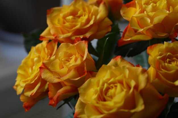 Hermoso ramo de rosas naranjas con delicados pétalos en la ventana