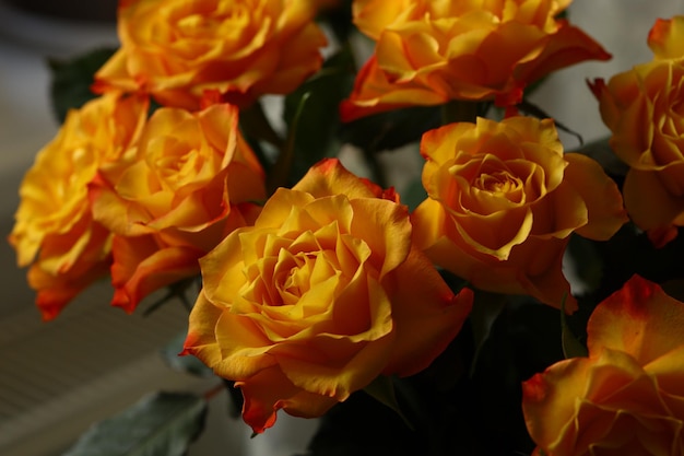 Hermoso ramo de rosas naranjas con delicados pétalos