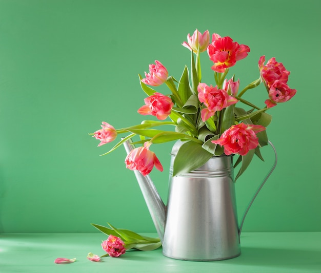 Hermoso ramo de tulipán rosa en regadera