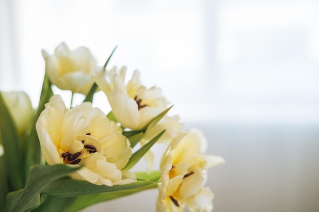 Hermoso ramo de tulipanes amarillos en florero om alféizar de la ventana en casa fondo natural