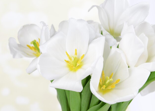 Hermoso ramo de tulipanes blancos en la mesa sobre fondo claro