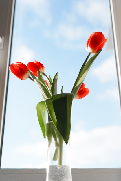 Foto hermoso ramo de tulipanes rojos en un jarrón en el alféizar de una ventana contra un cielo azul en el interior, vista inferior.