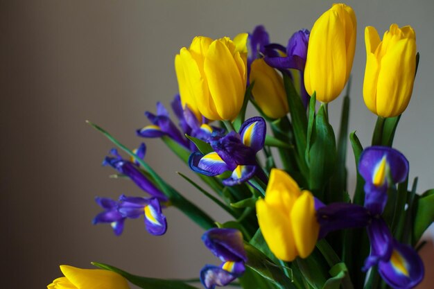 Un hermoso ramo de tulipanes y violetas está en contra de un fondo gris