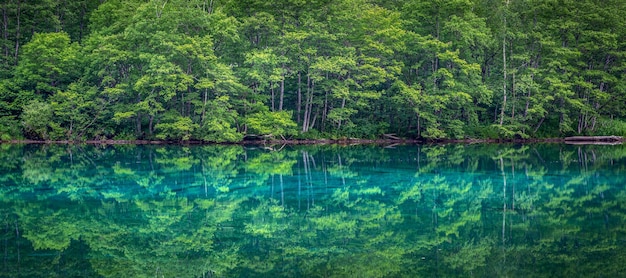 El hermoso reflejo en kamikochi nagano