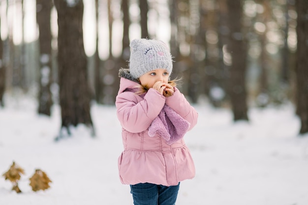 Hermoso retrato de invierno al aire libre de una adorable niña de 4 años, vestida con elegante gorra gris y abrigo rosa, se calienta las manos y las sopla. Día de invierno helado en bosque nevado.