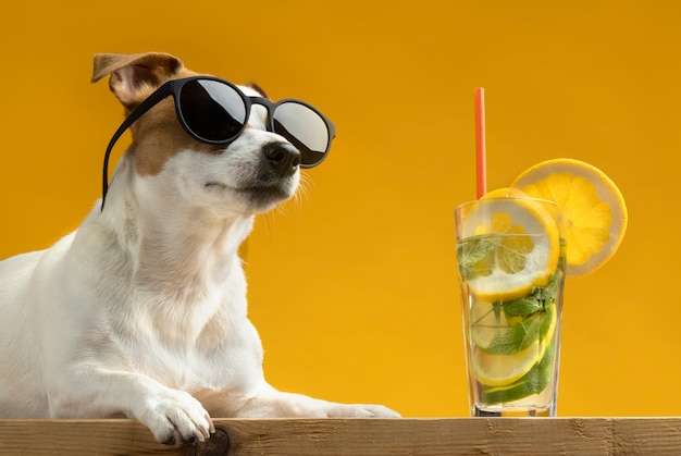 Foto hermoso retrato de mascota de perro con jugo