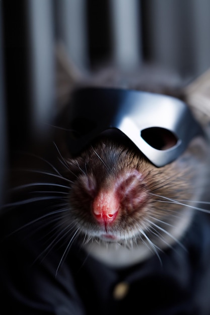 Un hermoso retrato de un ratón vestido como Batman con una máscara y una capa negra.