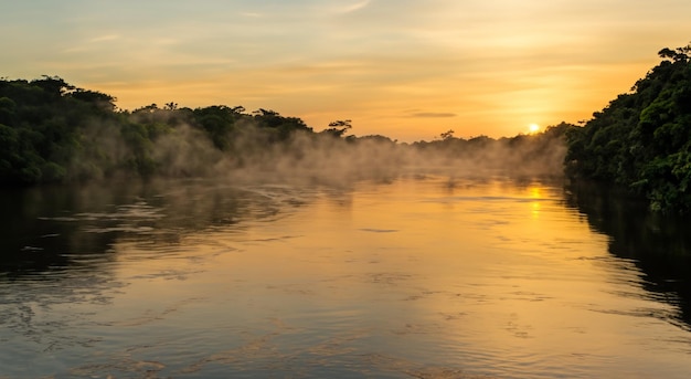 Hermoso río amazonas con niebla