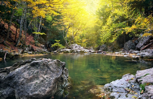 Hermoso río en el bosque de otoño