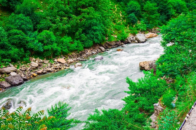 Hermoso río en el bosque de Pakistán.