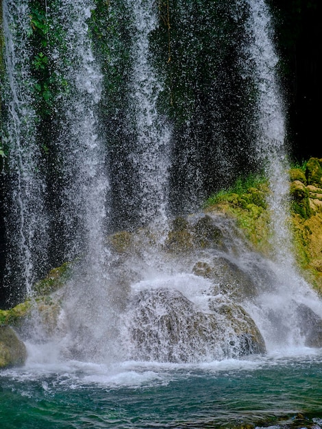 Hermoso río en el bosque