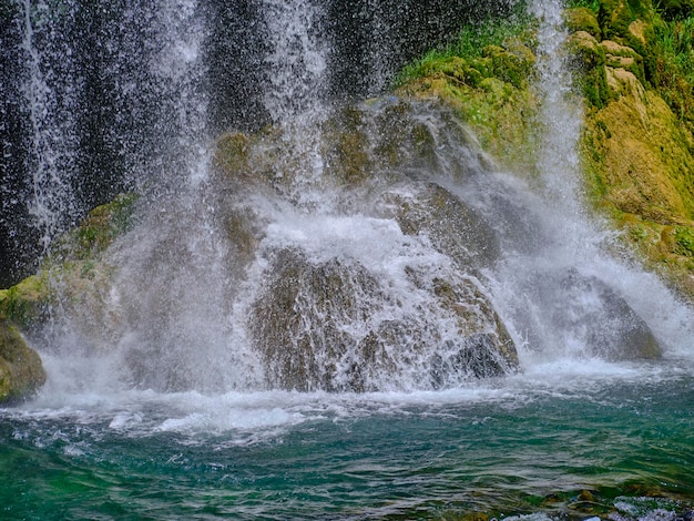 Hermoso río en el bosque