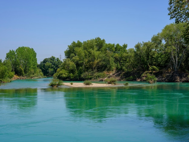 Hermoso río en el bosque