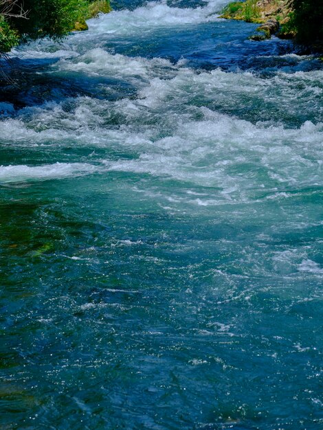 Hermoso río en el bosque