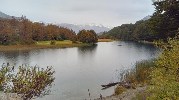 Foto hermoso río cristalino en la patagonia argentina durante el otoño