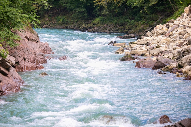 Foto hermoso río fluye entre las rocas