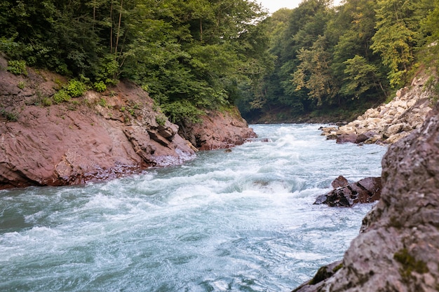 Un hermoso río fluye entre las rocas.