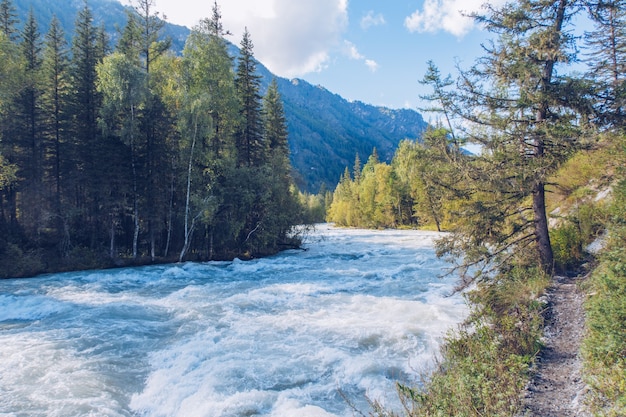 Hermoso río de montaña que fluye