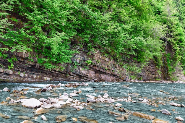 Hermoso río de montaña turquesa sobre un fondo de bosque verde y piedras