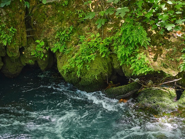 Hermoso río en la naturaleza.