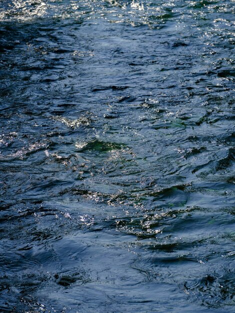 Hermoso río en la naturaleza.