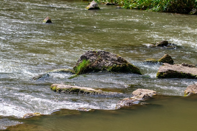 Hermoso río con piedras en verano en un día soleado.