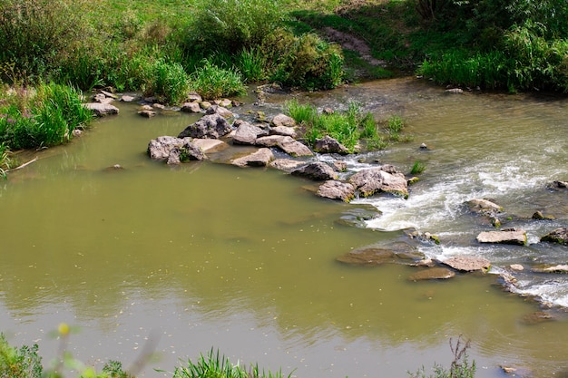 Hermoso río con piedras en verano en un día soleado.