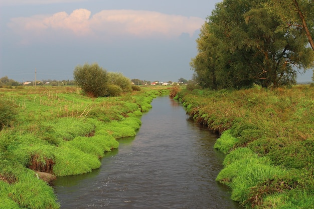 Hermoso río Poltva en verano