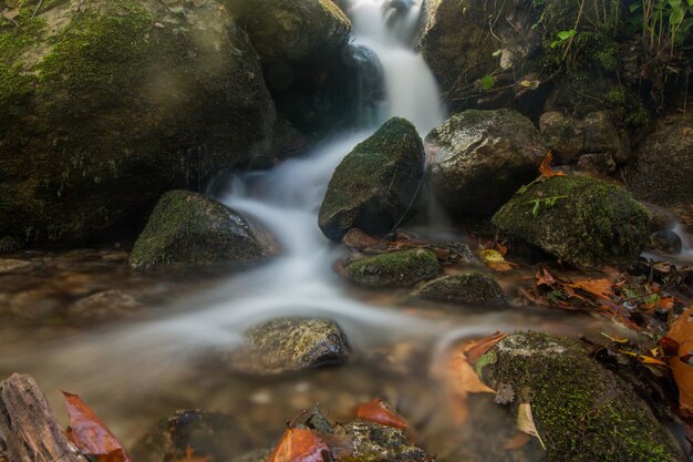 Hermoso río región montañosa de monchique, portugal