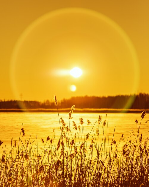 Hermoso sol de invierno con resplandores en el cielo naranja Naturaleza con lago cubierto de nieve salvaje hierba de la pampa