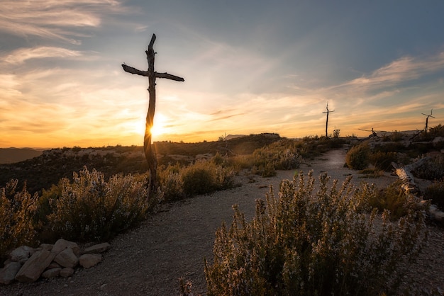 Un hermoso tiro de altas cruces de madera en una tierra desierta al atardecer